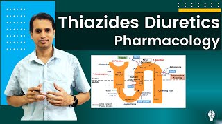 Diuretic Drugs Pharmacology Part 2  Pharmacology of Thiazides Diuretics  Thiazides Diuretics [upl. by Heringer]