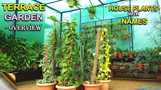 TERRACE GARDEN OVERVIEW AUGUST 2021 – HOUSE PLANTS TOUR BY GARDEN TIPS [upl. by Nalyr]