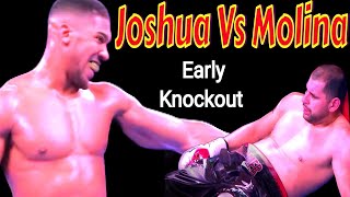 Anthony Joshua Vs Eric Molina Full highlights [upl. by Gierk]