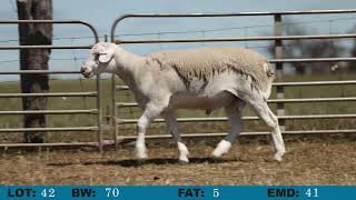 LOT 42 Orrie Cowie 2024 On Property Sale [upl. by Nimref]