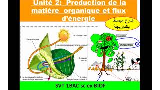 Production de la matiére organique svt 1 Bac sc ex Biof unité 2 شرح بالداريجة [upl. by Lovel]