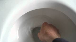 Improving flush of a slowflush toilet [upl. by Rodney970]