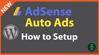 How to Setup Google AdSense Auto Ads on WordPress [upl. by Salangia760]