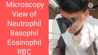 NeutrophilBasophil EosinophilMonocyte Lymphocyte Seen Under Microscope🥰 [upl. by Krystle888]