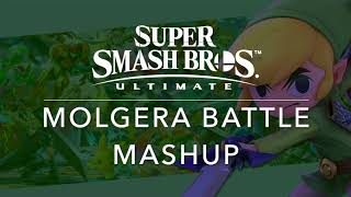 SSBU Molgera Battle Mashup Wind WakerSSBU [upl. by Misti115]