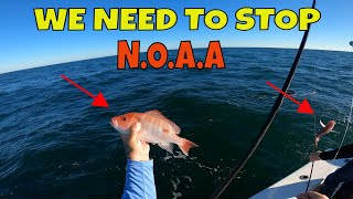 They have RUINED bottom fishing NOAA and SAFMC need to be STOPPED RED SNAPPER mismanagement [upl. by Aratahc]