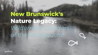 Nature Legacy  Wilderness Corridors of the Restigouche [upl. by Bebe]