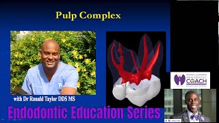 Success with Complex Root Canal Anatomy Part 1  Endo Lecture Series GPR Residency DrTaylor [upl. by Tezzil]