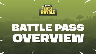 Battle Royale  Battle Pass Overview [upl. by Robaina]