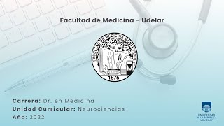 Funciones Superiores 3 Lateralización hemisférica y consciencia [upl. by Dolloff]