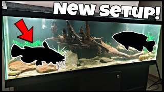 125 Gallon Fish Tank Setup Freshwater NATIVE FISH Aquarium Build [upl. by Grindle]