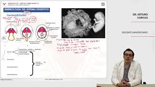 Embriología Desarrollo del sistema digestivo Embriología del sistema digestivo [upl. by Barmen]