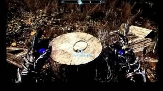 Skyrim  how to get ALL TEMPLE AMULETS easily [upl. by Shara]