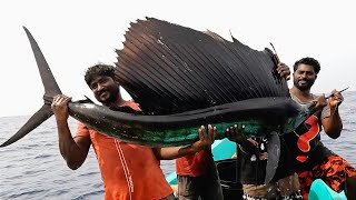 Catching Sail Fish King Fish amp Mahi Mahi Fish in the Deep Sea [upl. by Alikat]