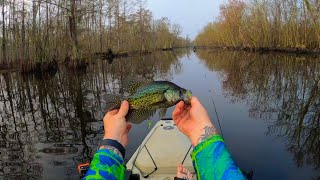 Kayak fishing on the bayou for Sac A Lait  Crappie [upl. by Haden]