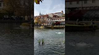 Wallenstein Garden I Prague Czech Republic 🇨🇿 I 2024 short europe travel prague [upl. by Nonac]