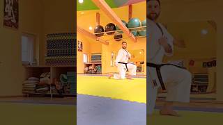 🔝Kata EMPI  Part 1  with technique names [upl. by Courtund]