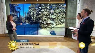 Så blir vädret under första sportlovsveckan  Nyhetsmorgon TV4 [upl. by Hartmunn220]