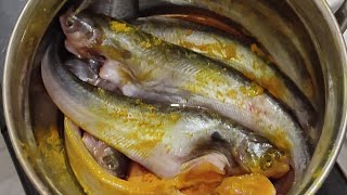 Fish masalaMaacha jhal PINKYS PAKWAN amp Vlogs [upl. by Hasila]