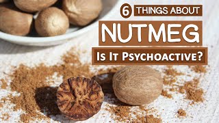 6 Things About Nutmeg  Is It Really Psychoactive [upl. by Calie]