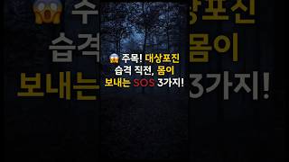 대상포진 발생 직전 전조증상 3가지 [upl. by Hobbs]