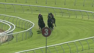 Heat 2 Doomben Jumpouts 0611 [upl. by Notsnhoj512]