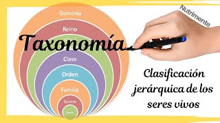 La CLASIFICACIÓN jerárquica de los seres vivos TAXONOMÍA [upl. by Bronson938]