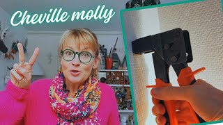 Comment mettre et enlever une cheville molly [upl. by Isabel]