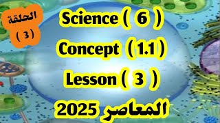 ساينس 6 Concept 11 lesson 3 المعاصر 2025 [upl. by Ainegul]