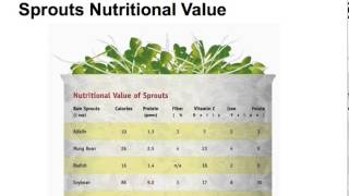 Sprouts Nutritional Value [upl. by Anes]