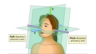 The Vestibular System [upl. by Atisor]