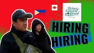 Pinoy sa Canada Prince Edward Island Recruitment Event Construction Talent Pool  May 2024 [upl. by Erlandson]