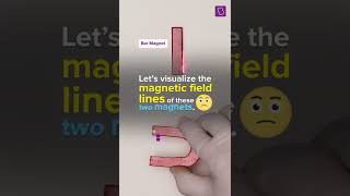 Visualizing Magnetic Field Lines Around A Bar Magnet amp Horseshoe Magnet  BYJUS Experiment Shorts [upl. by Erdnaed]