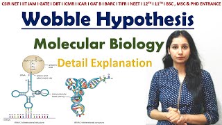 What is Codon and AntiCodon  Difference and Working Explained [upl. by Chemaram]