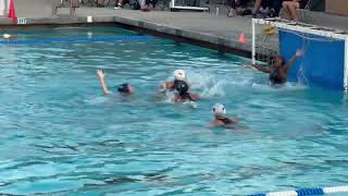 2024 EVHS Water Polo Girls Var vs Mt Pleasant [upl. by Wendell]