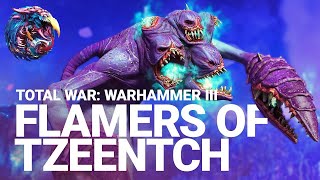 IMMOLATION INITIATIVE  A PERFECT Flamers of Tzeentch Strategy  Total War Warhammer 3 [upl. by Tynan]