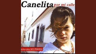 Piel Canela [upl. by Ecinereb]