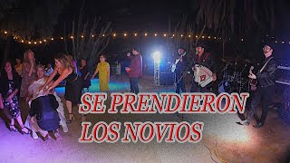 A DONDE TAN PEINADA  LOS NOVIOSGrupo Norteño9095615028 [upl. by Anitnauq791]