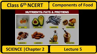 COMPONENTS OF FOOD  Class 6th Science Chapter 2  Lecture 5  NCERT  Nutrients Fats amp Proteins [upl. by Aneehs]