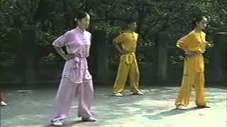 wushu basic training English [upl. by Cooperman]