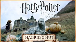 Hagrids Hut ASMR Hogwarts in Autumn 🍁Harry Potter 3 inspired Ambience 🍂🎃 Pumpkins Falling leaves [upl. by Natal322]