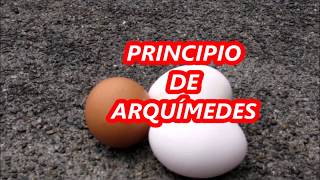 Experimento sobre el principio de Arquímedes [upl. by Annaoy]