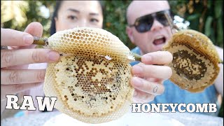 FRESH RAW HONEYCOMB HUBBY EDITION TASTE TEST LETS EAT  SASVlogs [upl. by Ronoel]