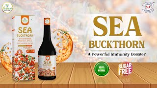 Health Parivartan Sea Buckthorn Concentrated Premium Drink [upl. by Anirak183]