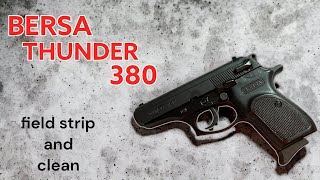 Quick And Easy Guide To Cleaning Your Bersa Thunder 380 [upl. by Stoffel]