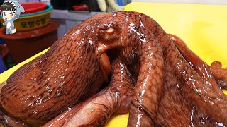 KOREAN STREET FOOD OCTOPUS DEVIL FISH KOREA SEAFOOD MARKET 포항 송도활어회센터 문어 310321 [upl. by Yelruc]