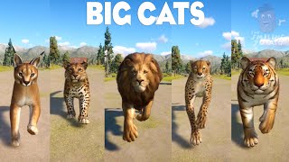 Cacaral African Lion Cheetah amp Other Big Cats Animal Category in Planet Zoo  Planet Zoo Gameplay [upl. by Atinat800]