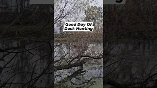 duckhunting waterfowler waterfowl duckseason woodducks hunt duckblind beardsandbowsoutdoors [upl. by Patsis]