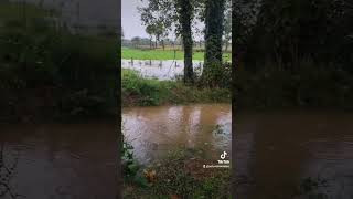 🌧️ Les cumuls de pluie depuis hier dépassent parfois les 50 mm en Bretagne  📅 date  21102024 [upl. by Nyl]