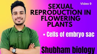 sexual reproduction in flowering plants Cells of embryo sacneet viral ncert bio medical life [upl. by Susette]